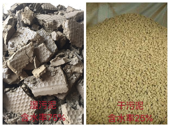 世界级企业广汽丰田携手中国第一品牌深圳德尔科污泥干化设备(图5)